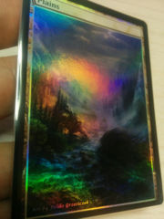 Plains #14 Foil Extended